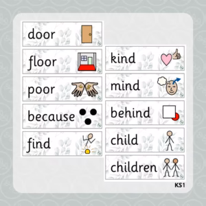 Year 2 Common Exception Word Flashcards