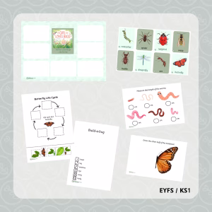 Book Talk: Minibeasts - The Girl Who Loved Bugs