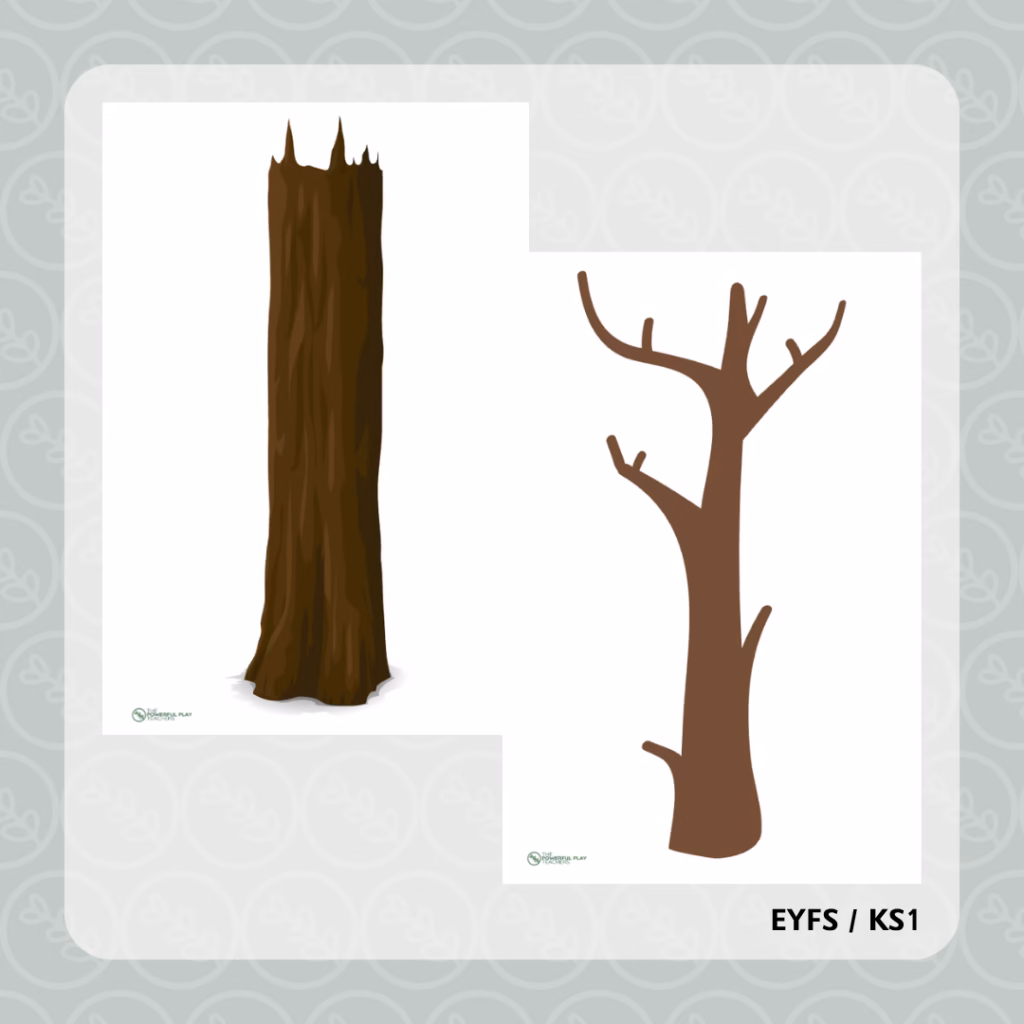 Tree Trunks