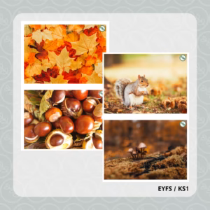 Autumn Flashcards