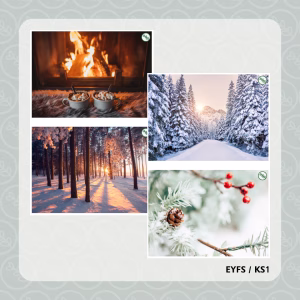 Winter Flashcards