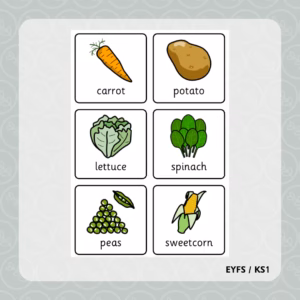 Vegetables Key Vocabulary Flashcards
