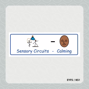 Sensory Circuits - Calming