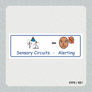 Sensory Circuits - Alerting