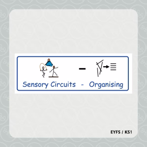Sensory Circuits - Organising