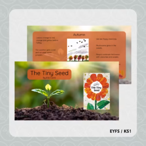 The Tiny Seed