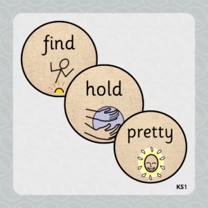 Year 2 Common Exception Word Discs