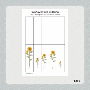 Sunflower Size Ordering