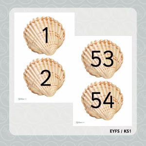 Shell Numbers