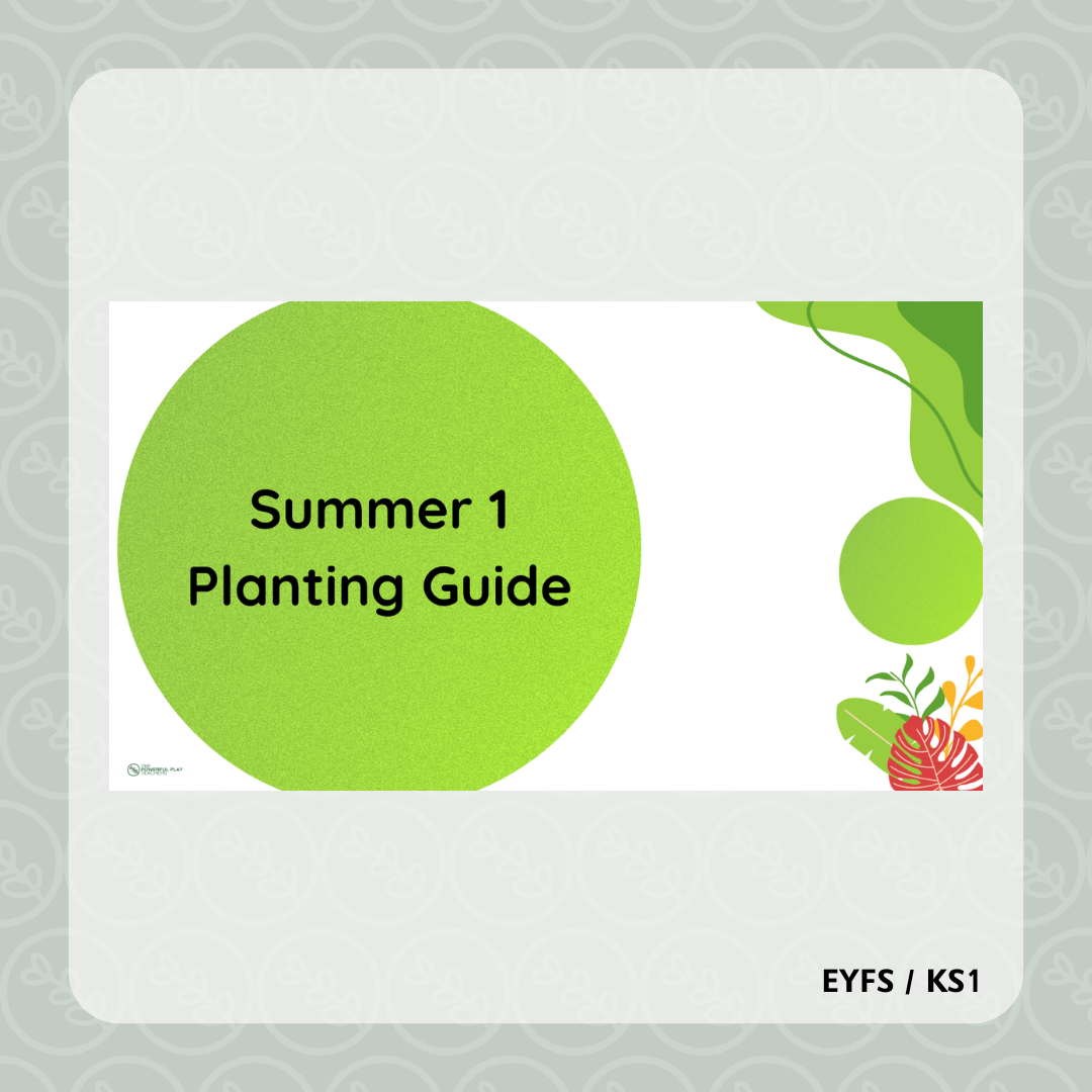 Planting Guide: Summer 1