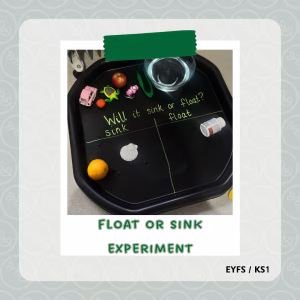 Float or Sink Experiment