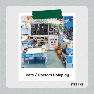 Vets / Doctors Role play