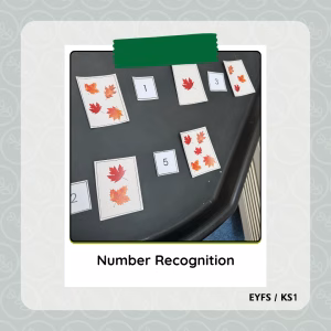 Autumn Number Recognition