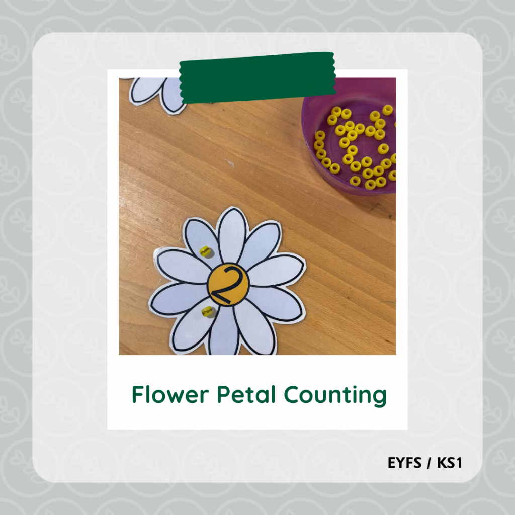 Flower Petal Counting