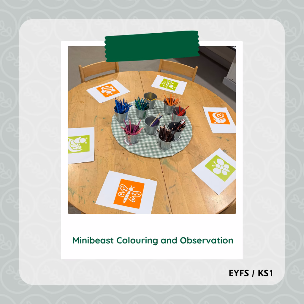 Minibeast Colouring and Observation