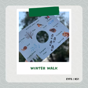 Winter Walk