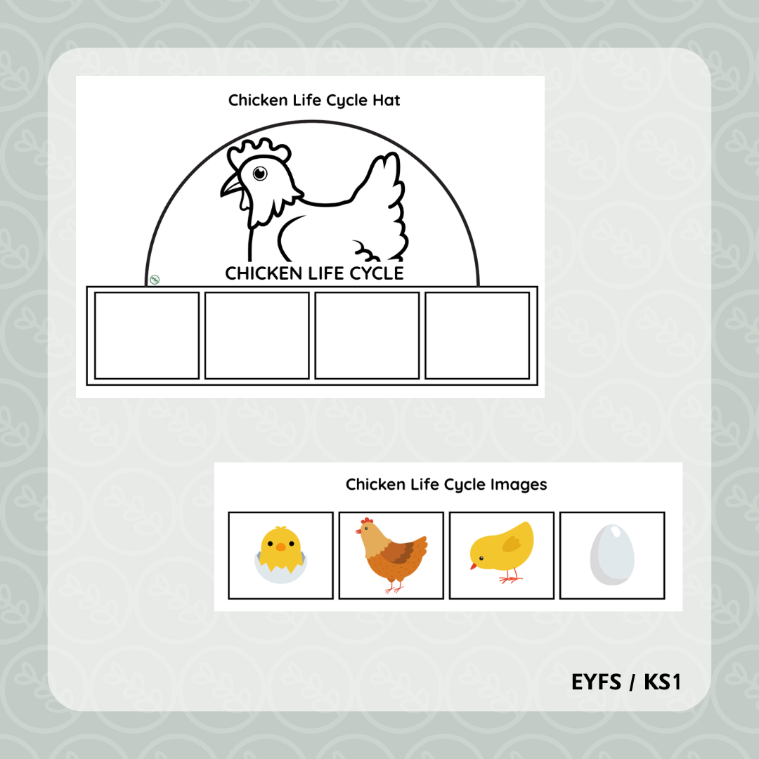 Chicken Life Cycle Hat