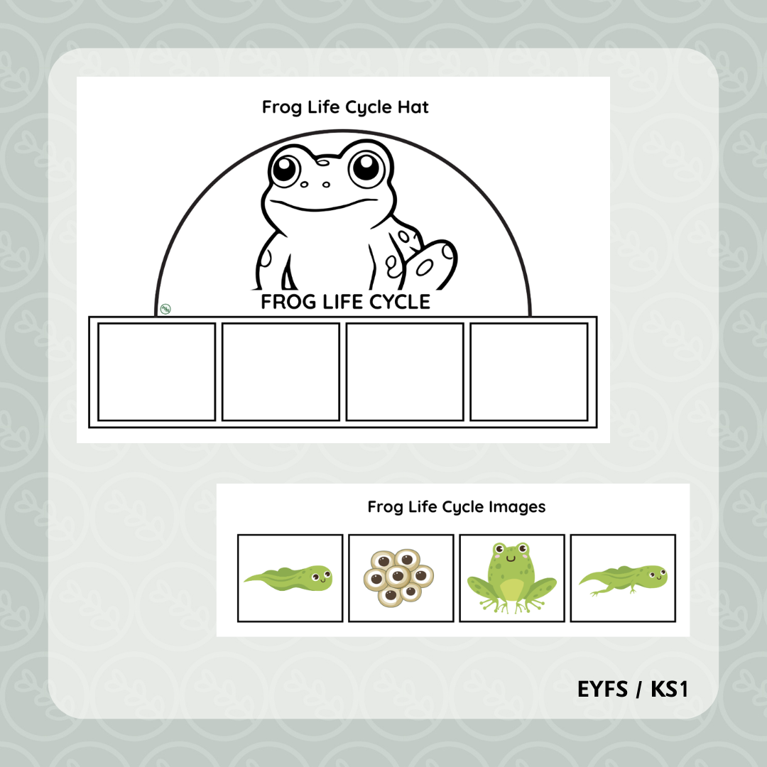 Frog Life Cycle Hat