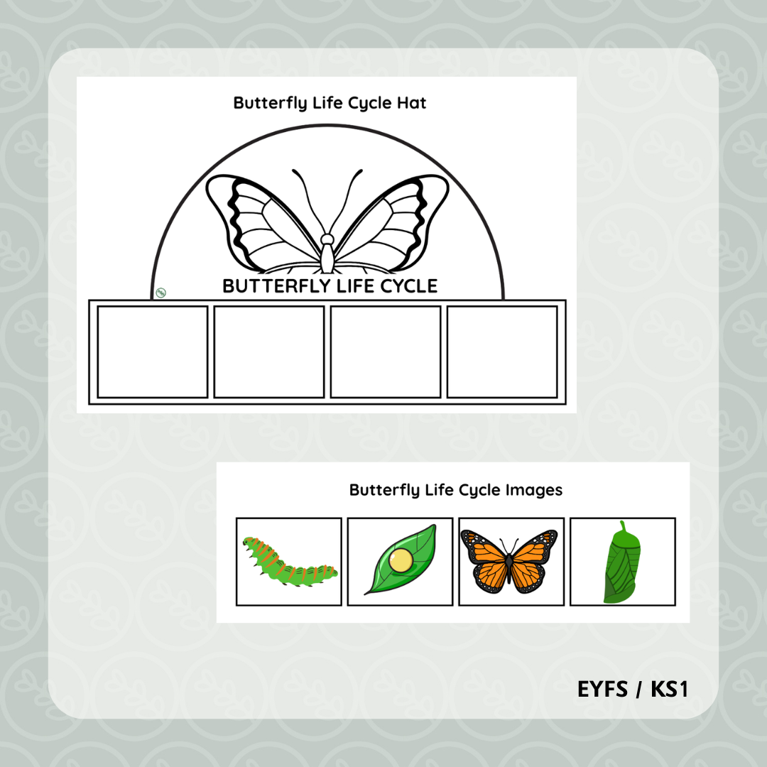 Butterfly Life Cycle Hat