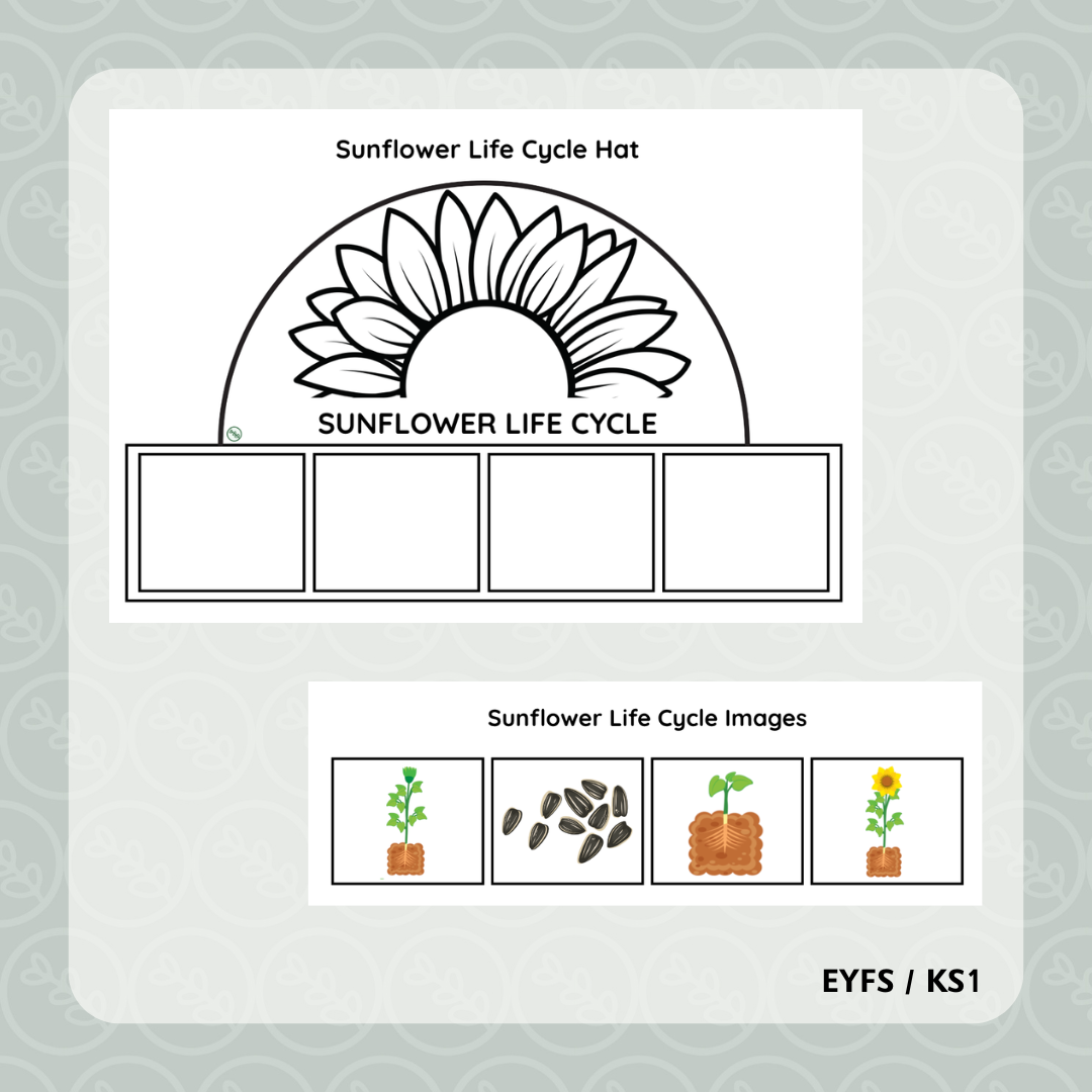 Sunflower Life Cycle Hat