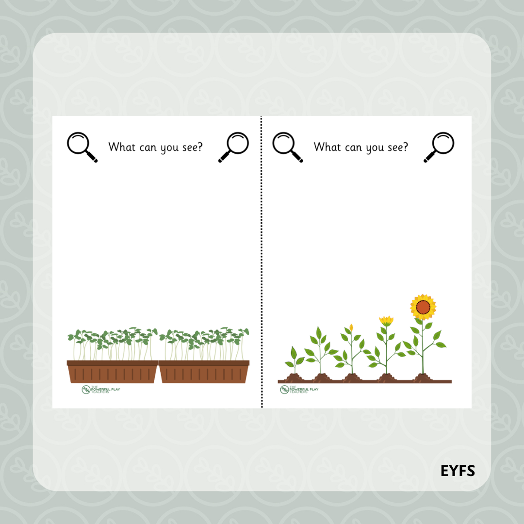 What Can You See Plant Observation