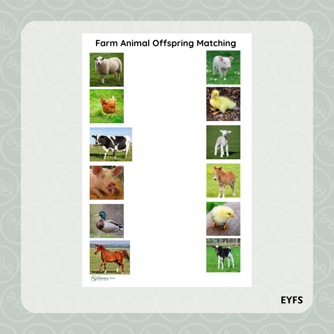 Farm Animal Offspring Matching