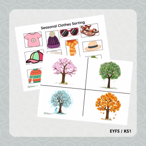 Seasonal Clothes Sorting