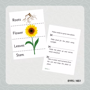 Sunflower Lift-the-Flap Labelling