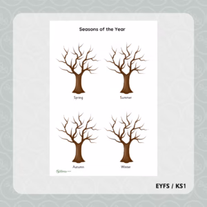 Seasons of the Year