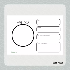 My Leaf Information Sheet and Sorting